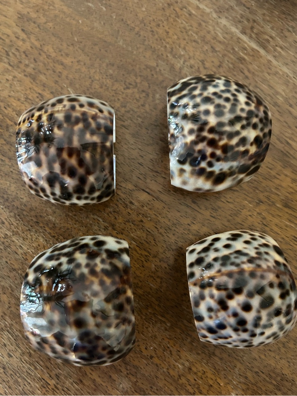 Polished Leopard Cowrie Shell Napkin Rings - Set of 4, Brown & Cream vintage